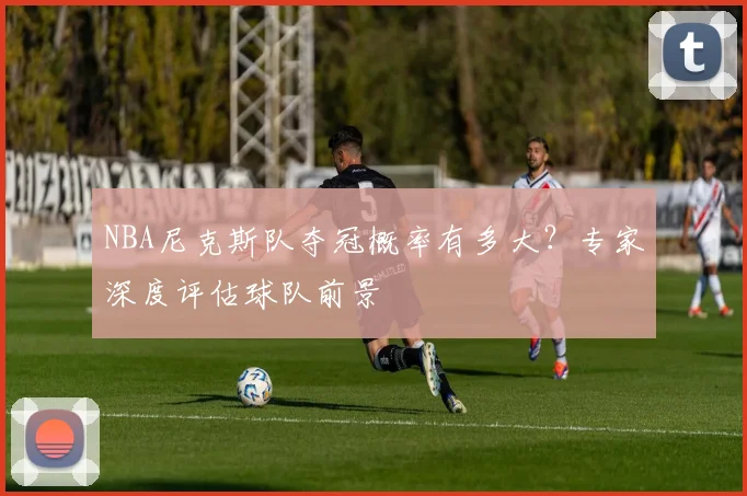 NBA尼克斯队夺冠概率有多大?专家深度评估球队前景