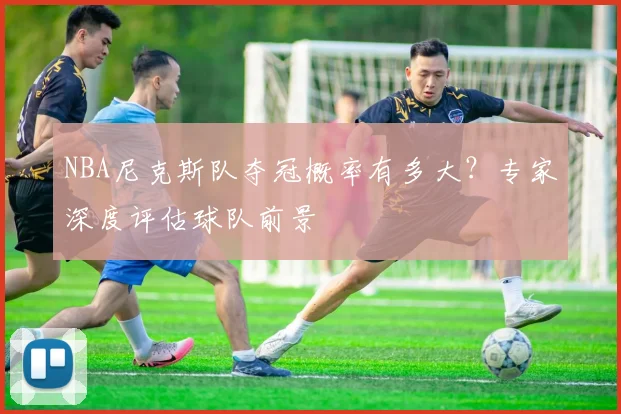 NBA尼克斯队夺冠概率有多大？专家深度评估球队前景
